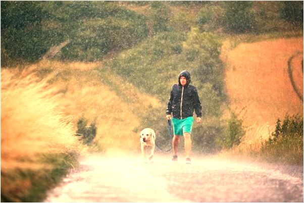 夢到去考數學抄國小同學卷是啥預兆_周公解夢官網