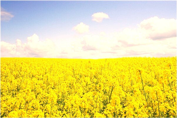 夢到約會碰到熟人怎么說_周公解夢官網