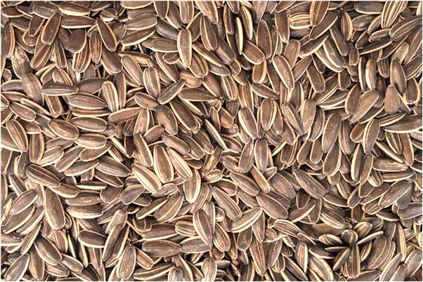 夢到了收洗曬乾的衣服是凶兆還是吉兆_周公解夢官網