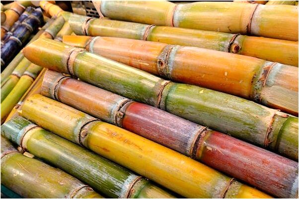 夢到了樹上長雞頭有何寓意_周公解夢官網