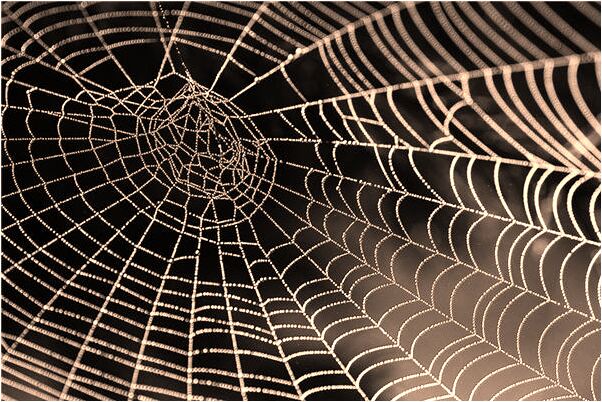 夢到在樓頂上雨後雙彩虹是什麼徵兆_周公解夢官網