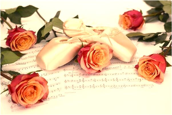 夢到狗斷了一條腿怎么樣_周公解夢官網