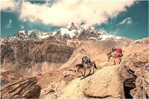 夢到和喜歡的女性睡一張床會是什麼預兆_周公解夢官網