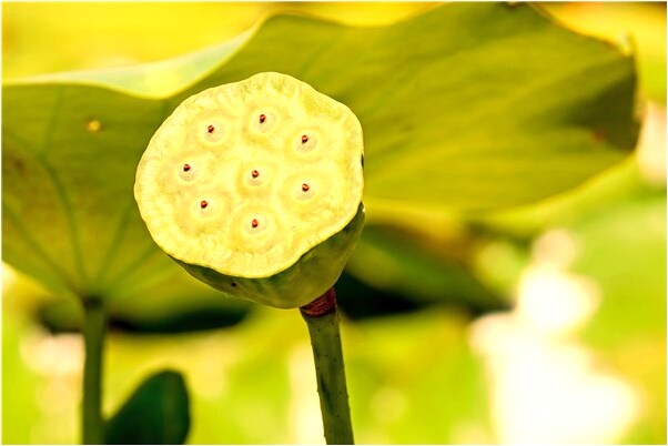 夢見女人和自己親近怎么樣_周公解夢官網