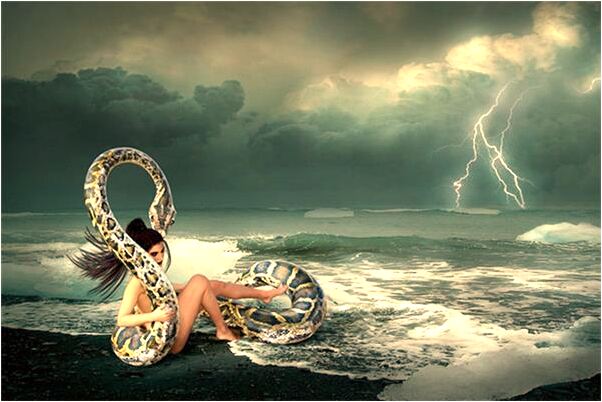 夢到我在朋友家掃地是什麼啟示_周公解夢官網