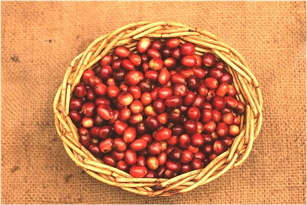 夢到男朋友有別的女友有什麼寓意嗎？_周公解夢官網