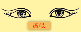 Eyes: yan eyes