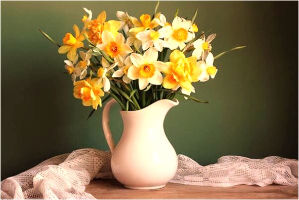 夢到三個老鱉有什麼預示嗎_周公解夢官網