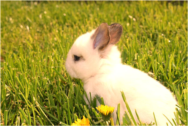 夢到老師倒白酒給自己喝是怎么回事_周公解夢官網