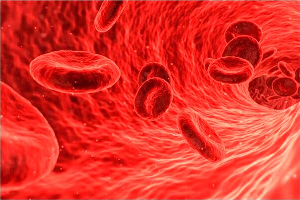 夢到了老虎吃雞有什麼寓意嗎？_周公解夢官網