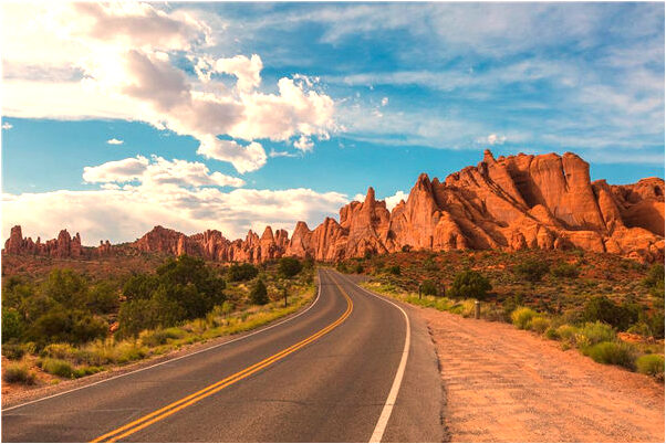 夢到大豬鼻鯉魚親近他人代表著什麼_周公解夢官網