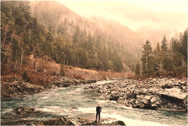 夢到牛大腿肉是咋回事_周公解夢官網