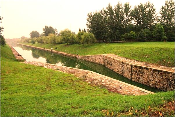 夢到了一鯊魚咬死一人流血了是好的徵兆嗎_周公解夢官網