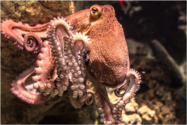 夢見朋友得愛滋病意味什麼_周公解夢官網