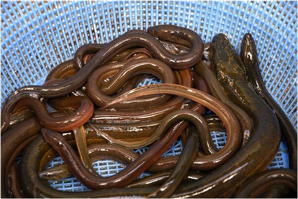 夢到同事像自己表白怎么說_周公解夢官網