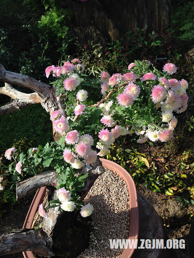 夢見吃米粉_周公解夢夢到吃米粉是什麼意思_做夢夢見吃米粉好不好_周公解夢官網