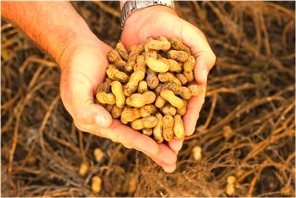 夢見男朋友有新的女朋友怎么回事_周公解夢官網