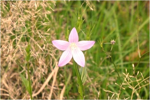 夢到了偷窺別人是什麼預兆？_周公解夢官網