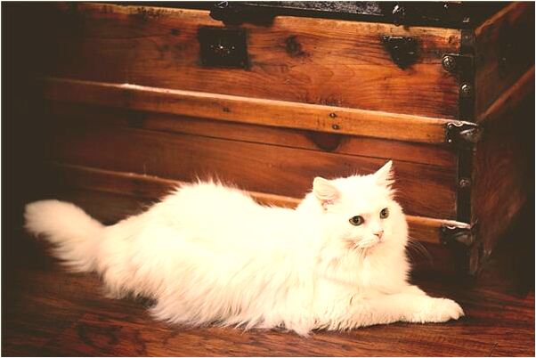 夢到男人為自己跳樓會怎么樣_周公解夢官網