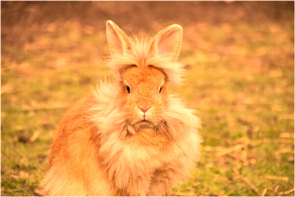 夢到了拿了別人的錢預兆了什麼嗎_周公解夢官網
