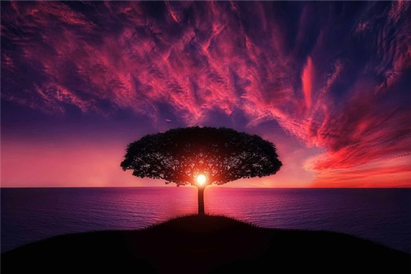 夢見天空奇觀怎麼樣_周公解夢