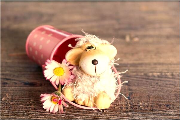 夢見樹枝及樹冠被砍掉了是什麼徵兆_周公解夢官網