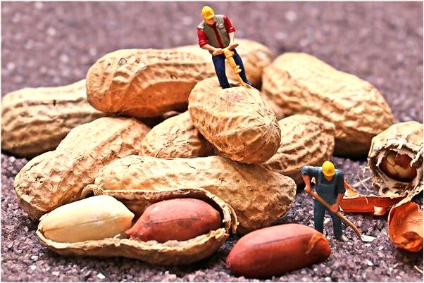 夢見魚把我帶到有黃金的船是什麼預兆？_周公解夢官網