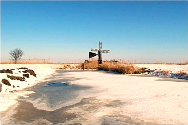 夢到了很多小蛇爬滿身有什麼寓意嗎?_周公解夢官網