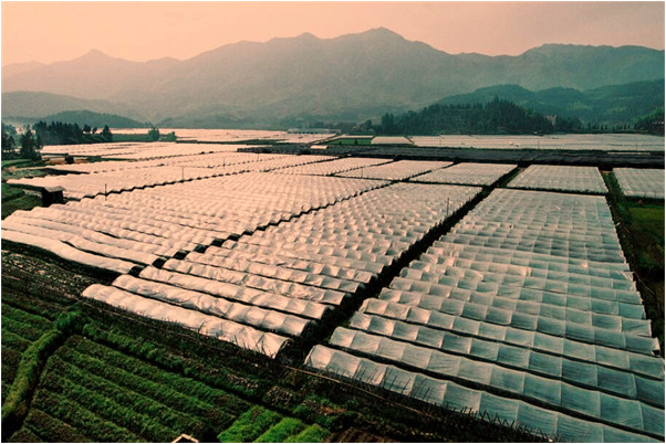 夢到丟錢丟錢包是凶兆還是吉兆_周公解夢官網