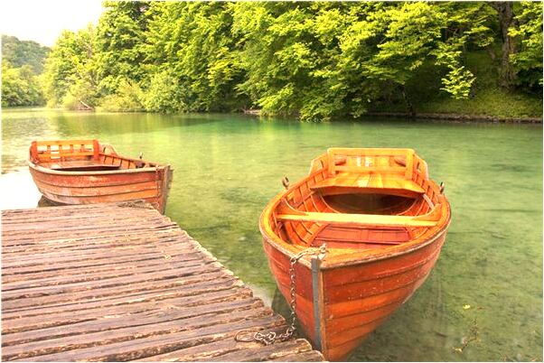 夢到淋浴噴頭噴屎意味著什麼_周公解夢官網