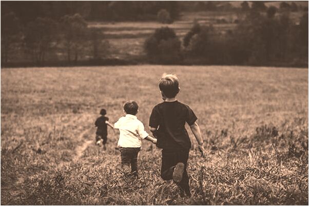 夢見被龍貓咬代表著什麼_周公解夢官網