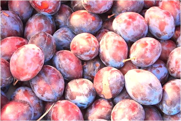 夢到父親沒死父親的墳意味著什麼_周公解夢官網