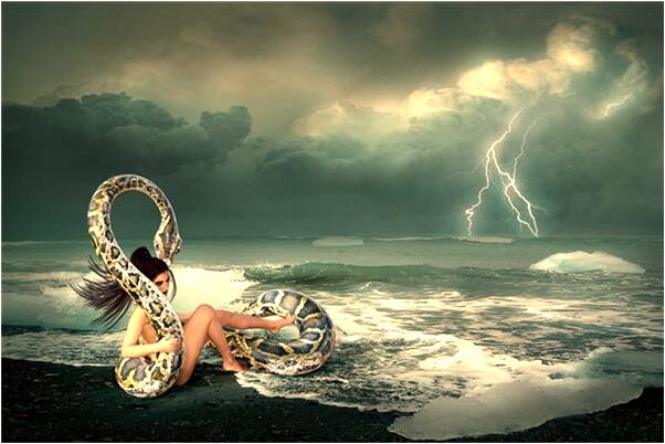 夢到了合夥偷錢怎么回事_周公解夢官網