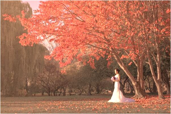 夢見白衣女人披頭散髮渾身是血是啥意思_周公解夢官網