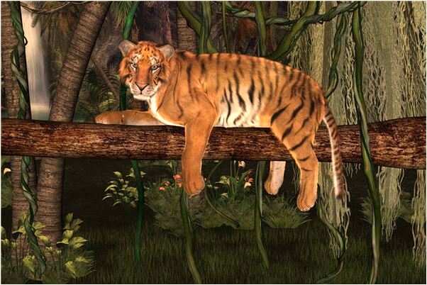 夢到了紅色的斑點狗是什麼預兆_周公解夢官網