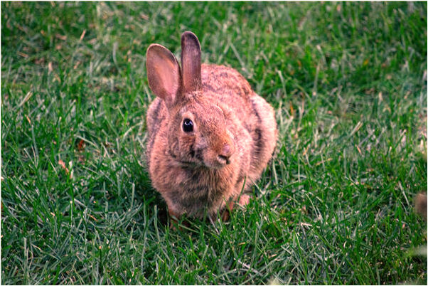 夢到了坑裡撿錢代表著什麼_周公解夢官網