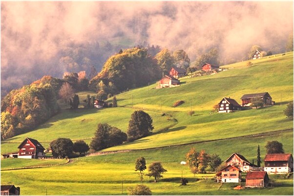 夢到了猴子被我放火燒有何寓意_周公解夢官網