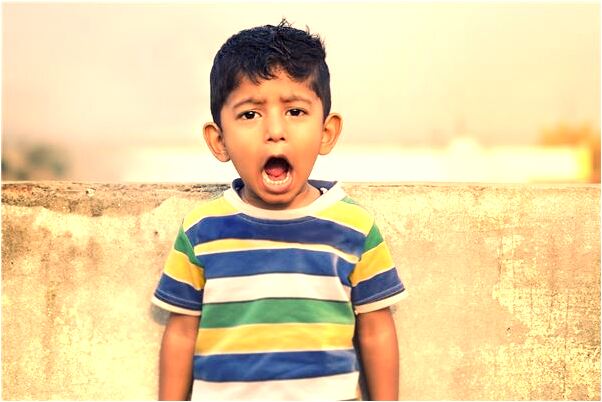 夢到兩隻狐狸代表著什麼？_周公解夢官網