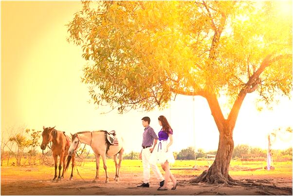 夢到了別人給我個馬蹄預示了什麼_周公解夢官網