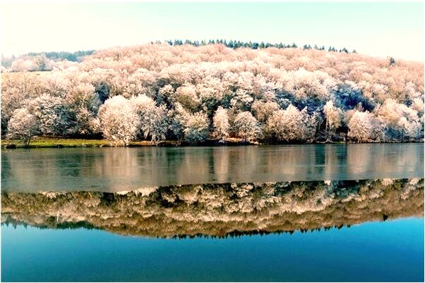 夢到了鬼要我命有什麼說法_周公解夢官網
