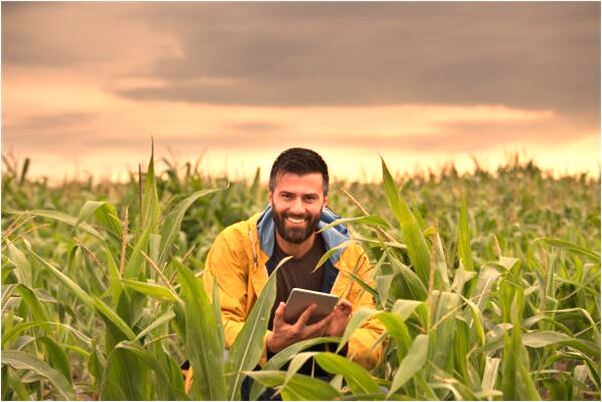 夢見撈很多泥鰍意味什麼_周公解夢官網