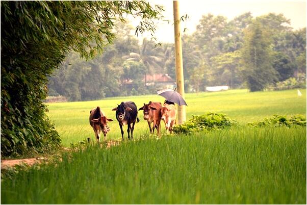 夢到女友的名字的預兆_周公解夢官網