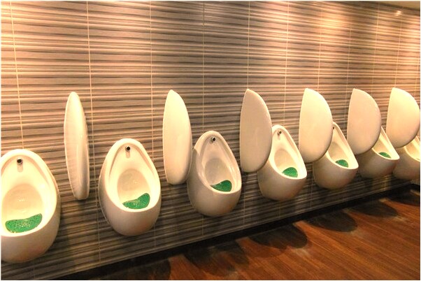 夢見自己家的一排杉樹被人砍倒是什麼兆頭_周公解夢官網