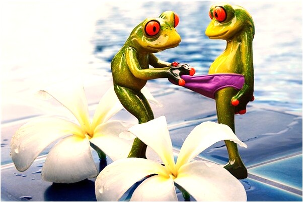 夢到我撿了一個玉貔貅意味著什麼_周公解夢官網