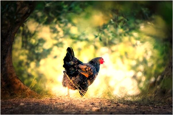 夢到女性朋友醉了撲在自己身上有什麼意思_周公解夢官網