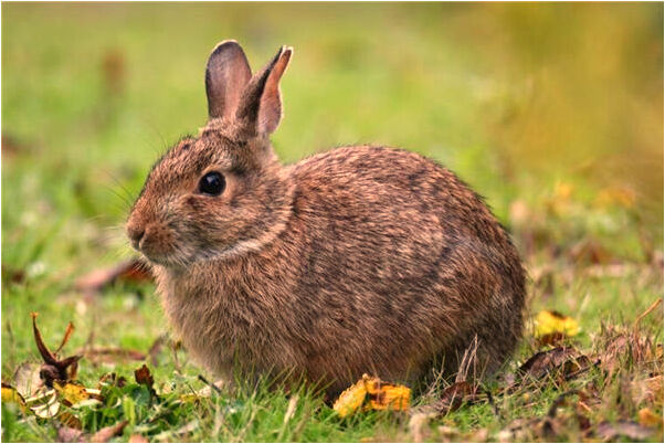 夢見自己被一男一女追有什麼意義嗎_周公解夢官網