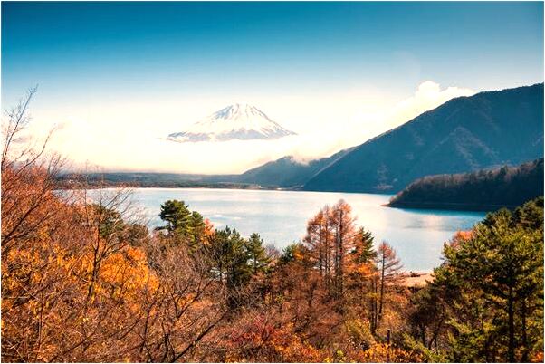 夢見自己在下落預示著什麼_周公解夢官網