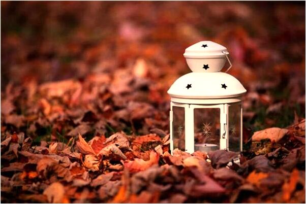 夢見撿到很多山竹意味著什麼_周公解夢官網