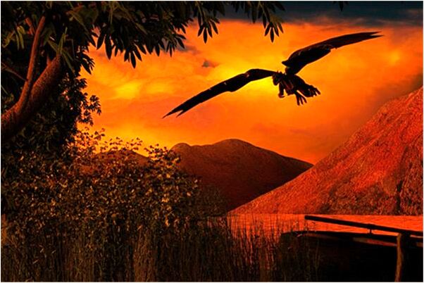 夢見初戀對眼又追我會是什麼預兆_周公解夢官網