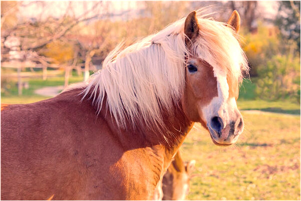 夢到收拾樓房後空地要種菜是好事還是壞事_周公解夢官網